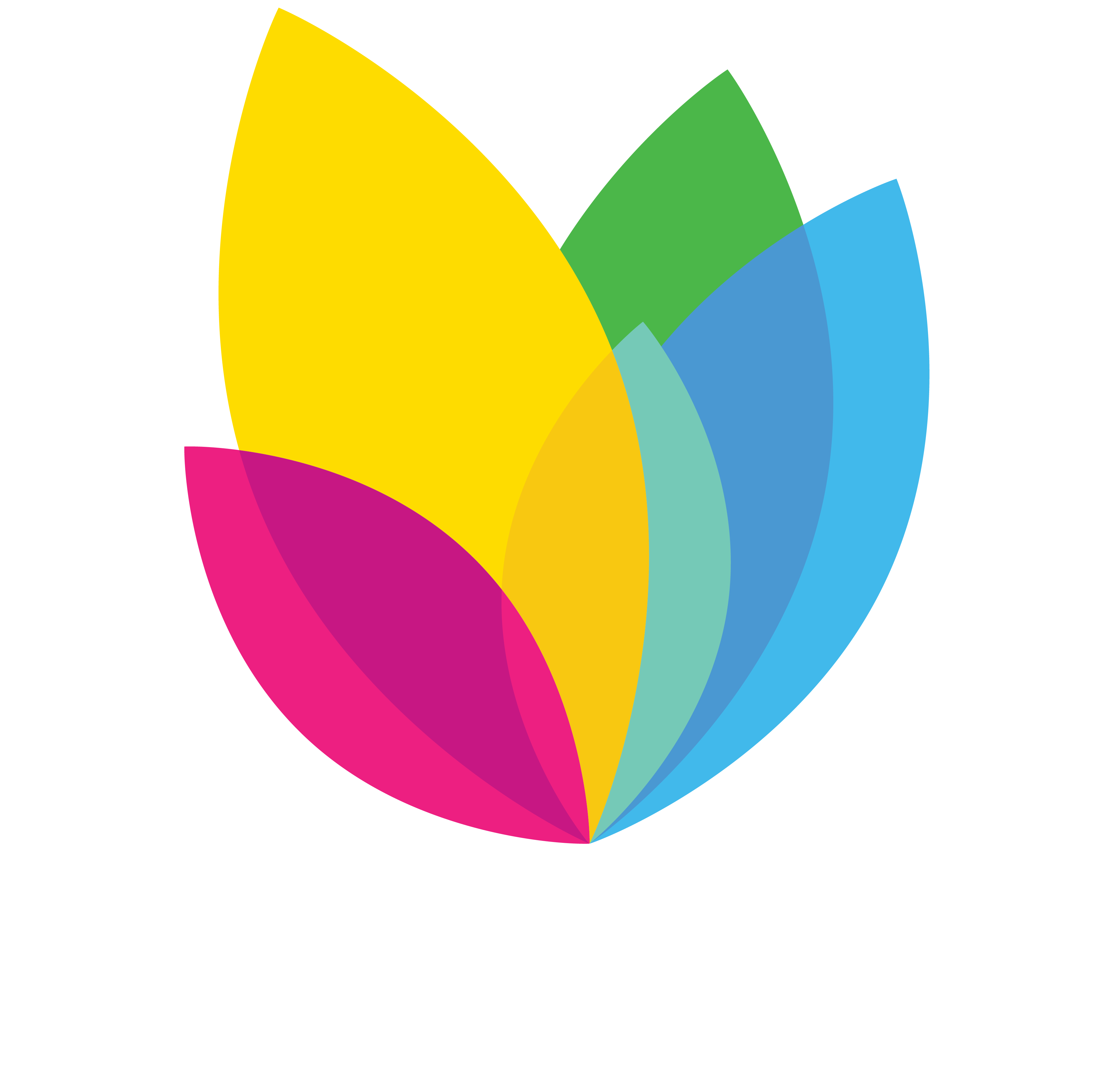 Pop & Co